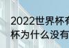 2022世界杯有意大利吗（2022世界杯为什么没有意大利）