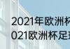 2021年欧洲杯主办国是哪个国家（2021欧洲杯足球锦标赛观后感）