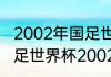 2002年国足世界杯正赛战绩一览（国足世界杯2002成绩）