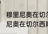 穆里尼奥在切尔西拿过欧冠吗（穆里尼奥在切尔西期间都获得过那些冠军）