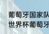 葡萄牙国家队2018阵容详解（2022世界杯葡萄牙阵容）