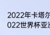 2022年卡塔尔世界杯非洲区排名（2022世界杯亚洲区积分排名规则）