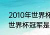 2010年世界杯冠军有哪些（2010年世界杯冠军是谁）