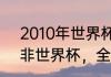 2010年世界杯16强有哪些（2010南非世界杯，全部16强名单）