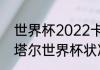 世界杯2022卡塔尔结束语（2022卡塔尔世界杯状况）