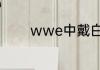 wwe中戴白面具的人叫什么