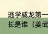 逃学威龙第一部那就反黑组的那个组长是谁（姜武刀捅厨师是什么电影）