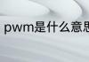 pwm是什么意思（pwm是什么意思）