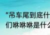 “吊车尾到底什么意思（吊车尾的家伙们咻咻咻是什么意思）