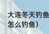 大连冬天钓鱼最佳地点（大连海之韵怎么钓鱼）