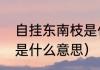 自挂东南枝是什么意思（自挂东南枝是什么意思）