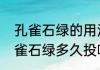 孔雀石绿的用法用量时间（鱼池下孔雀石绿多久投喂）