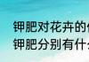 钾肥对花卉的作用（氮肥、磷肥，和钾肥分别有什么作用）