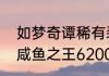 如梦奇谭稀有装扮只能是魔法师吗（咸鱼之王6200癫癫蛙用什么阵容）