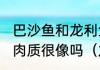 巴沙鱼和龙利鱼，是一种鱼吗他们的肉质很像吗（龙利鱼与巴沙鱼的区别）