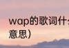 wap的歌词什么意思（wap歌词什么意思）