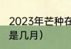 2023年芒种在几月几号（芒种到夏至是几月）