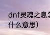 dnf灵魂之息怎么获得（乡野气息是什么意思）