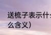 送梳子表示什么含义（送梳子代表什么含义）