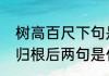 树高百尺下句是什么（树高百尺落叶归根后两句是什么）