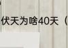 伏天为啥40天（入伏时间是固定的吗）