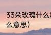 33朵玫瑰什么意思（33朵玫瑰代表什么意思）