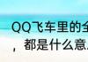 QQ飞车里的全29、进阶还有＋5宠物，都是什么意思啊