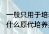 一般只用于培养细菌的培养箱是（为什么原代培养要在二氧化碳培养箱中）