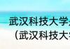 武汉科技大学是211大学还是985大学（武汉科技大学是211或985吗）