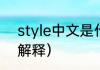 style中文是什么意思（style的名词解释）