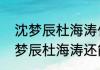 沈梦辰杜海涛什么时候在一起的（沈梦辰杜海涛还能结婚吗）