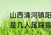 山西清河镇阳城村的高跷走兽艺术，是几人足踩高跷同演骑兽状？