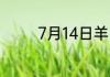 7月14日羊了个羊通关攻略