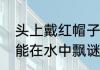 头上戴红帽子身上穿白袄能在地上走能在水中飘谜底是什么？（血红帽）