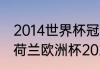 2014世界杯冠军是谁荷兰对捷克？（荷兰欧洲杯2021成绩？）