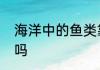 海洋中的鱼类靠隐伏生活来抵御危险吗