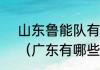 山东鲁能队有哪几个球员是山东人？（广东有哪些足球名宿？）