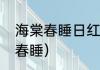 海棠春睡日红楼梦醒时含义？（海棠春睡）