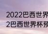 2022巴西世界杯预选赛成绩？（2022巴西世界杯预选赛比赛时间？）