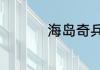 海岛奇兵高防17本阵型