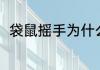 袋鼠摇手为什么火了？（袋鼠摇手）