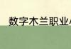 数字木兰职业小知识今日答案6.29