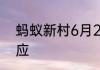 蚂蚁新村6月29日晕轮效应和近因效应