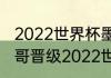 2022世界杯墨西哥实力分析？（墨西哥晋级2022世界杯成绩？）