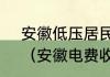 安徽低压居民分时用电分几档电价？（安徽电费收费标准2020？）