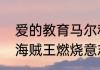 爱的教育马尔科寻母的主要内容？（海贼王燃烧意志马尔科技能加点？）