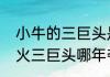 小牛的三巨头是哪三个组成的？（热火三巨头哪年夺冠？）