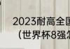 2023耐高全国总决赛8强晋级规则？（世界杯8强怎么产生的？）