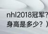 nhl2018冠军？（尼古拉斯·霍尔特的身高是多少？）