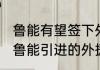 鲁能有望签下外援吗？（狂飙鼻血，鲁能引进的外援是佩莱还是瓦尔迪？）